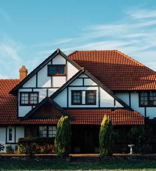 Professional Roof Washing