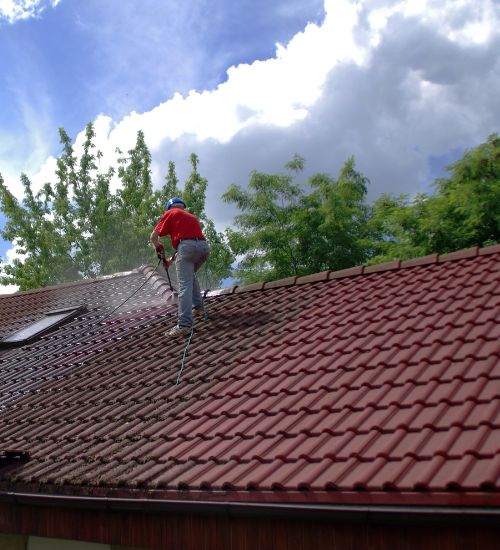 Regular Roof Cleaning is Essential