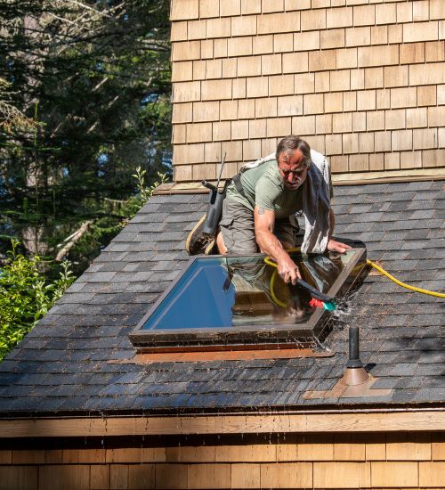 Roof Soft Washing